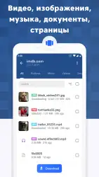 Скачать видео и все файлы