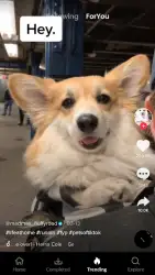 Скачать видео с ТикТок (ТТ)