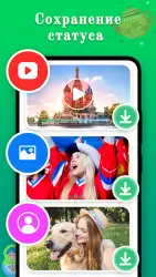 Ватсап Веб Сканер (Whatsapp Web Scanner)