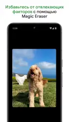 Google Фото