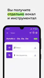 Voix: удалить вокал из песни