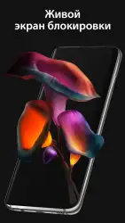 Pixel 4D: живые обои