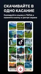 Скачать видео с ТикТок