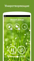 Звуки дождя — сон, релаксация