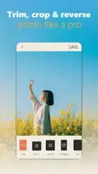 Vintage Camera Film — Analog