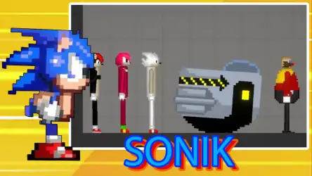 Соник мод для Мелон Плей