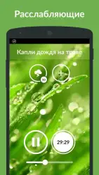 Звуки природы