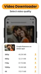 MP4 video downloader