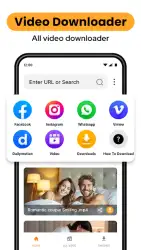 MP4 video downloader