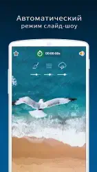 Расслабляющая музыка