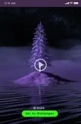 Живые видео обои HD