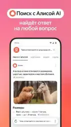 Яндекс.Браузер