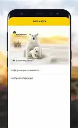 РН-Карт для Роснефть