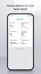 Zepp (formerly Amazfit)