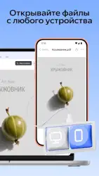 Яндекс.Диск