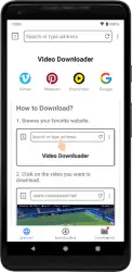 Video Downloader