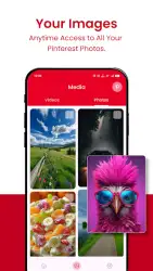 Video Downloader for Pinterest