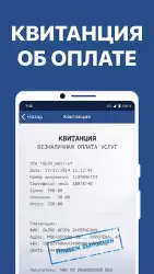 Штрафы ПДД с фото и ОСАГО