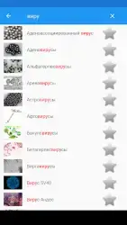 Вирусы