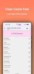 1Tap Cleaner