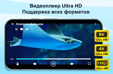 All Document Reader