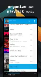Avee Music Player Pro