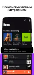 Deezer Premium