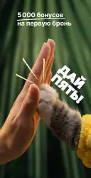 Суточно.ру