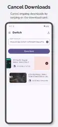 Video Downloader for Twitch