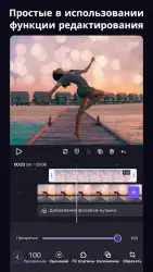 VivaCut pro