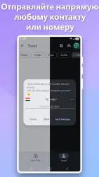Загрузчик медиа для TG (Telegram)