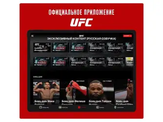 UFC