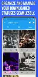 Download story for Telegram