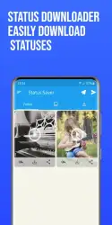 Download story for Telegram
