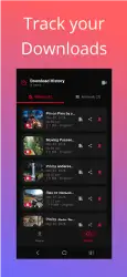 Pinterest Video Downloader