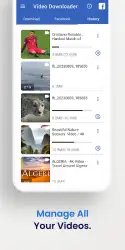 Скачать видео с Фейсбука